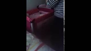 Erva Banyo