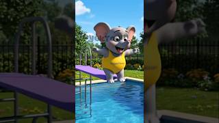 Cute Animals Take The Plunge Summer Pool Fun