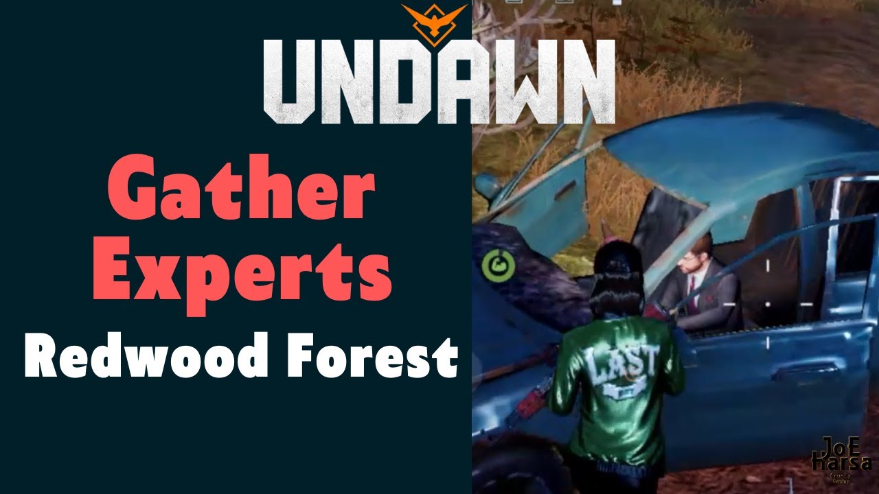 Gather Experts Redwood Forest Undawn Guide Gather Experts Redwood Forest Undawn Guide