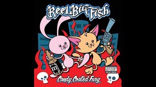 Watch Reel Big Fish Everyone Else Is An Asshole video