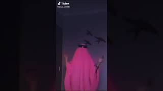 Soudus App-Sen Malsın