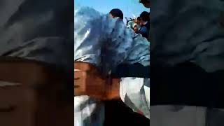 Mikail Bakhri Kol Wala