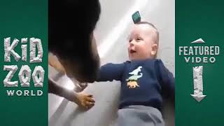 Funny baby Videos 2019