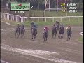 7ma Carrera Domingo 11 De Septiembre 2016 Hpr images 7ma Carrera Domingo 11 De Septiembre 2016 Hpr