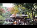 世界遺産-宇治上神社-(古都京都の文化財) 