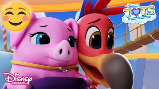 Doğum Günü Tontişleri Taşıma Servisi T.o.t.s. Disney Channel Tr