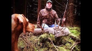 Double Buck Harvest - Roe Stalking in scotland