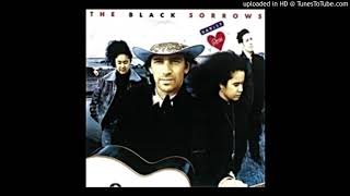 Watch Black Sorrows Baby Its A Crime video