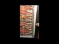 Long Gone Video preview
