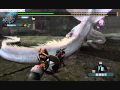 MHF ルーツ狩猟笛ソロ2010053001