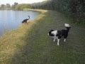 wandelen met Jessie & Obi