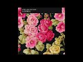 mark lanegan - tiny grain of truth