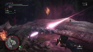 Gajalakas Are Rude