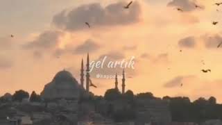 Gel Artik