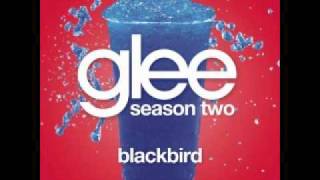 Watch Glee Cast Blackbird video