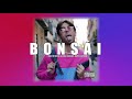 Bonsái Video preview