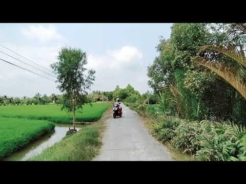 Bán Đất 40 triệu/1000 m2 tại Cần Đước Long An cách TPHCM 30p