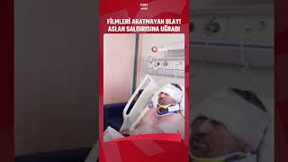 Aslan Saldırısına Uğrayan Adam O Anları Anlattı Boğuştuk