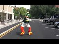 oregon duck