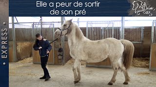 • EXPRESS • Elle a peur de sortir de son pré