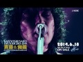 斉藤和義 - 「KAZUYOSHI SAITO LIVE TOUR 2013-2014 "斉藤＆和義" at日本武道館 2014.2.16」トレーラー