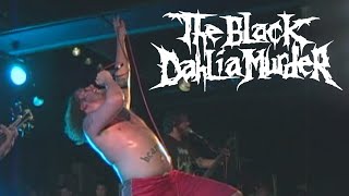 Watch Black Dahlia Murder What A Horrible Night To Have A Curse video