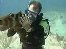 2 Cayman Islands Grouper Vacation Dive