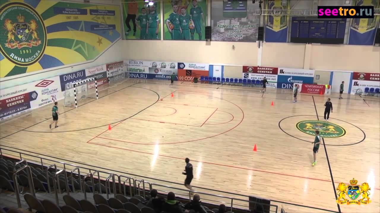 Цветок с желтыми цветами на дачах Цветок с желтыми цветами на дачах