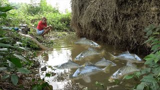 Full Video: Pump Fishing Techniques - Skills To Create Fish Traps To Catch Big Fish - Fishing Video