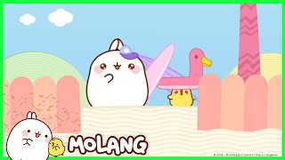 Molang - The beach | Cartoon for kids