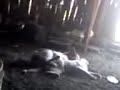 image Lagi Asik Ml Ketahuan Sama Nenek