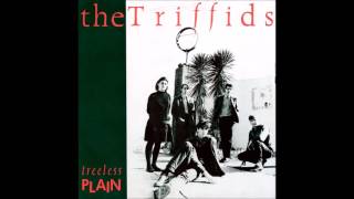 Watch Triffids Plaything video