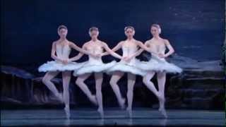 Tchaikovsky Swan Lake Dance Of The Little Swans Tchaikovsky Swan Lake Dance Of The Little Swans