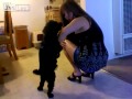 Il cane gioca con la padrona ma scatta una esilarante sorpresa