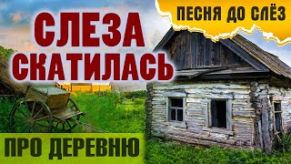 Александр Закшевский - Слеза Скатилась