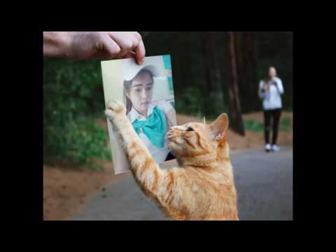 โปรแกรมแต่งรูปออนไลน์ by Photofunia สอนโดย อาจารย์ลัดดา พิมพ์สกุลานนท์