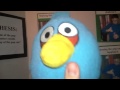 Blue bird's science fair project