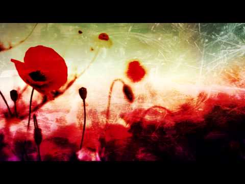 Remembrance Video