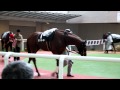 20101003ポートアイランドSパドック