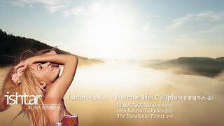 Ishtar - Horchat Hai Caliptus 유칼립투스 숲, Lyrics, 번역, 고음질, Mv
