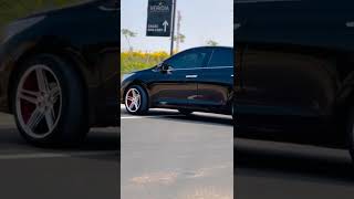 Black Verna