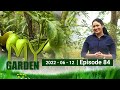 My Garden 12-06-2022