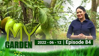 My Garden | Episode 84 | 12 - 06 - 2022 | Siyatha TV