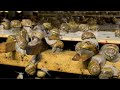 HOW Snails REPRODUCE 🐌| Knowing This Will CHANGE Your Look At Snails FOR EVER!
