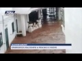 Alluvione Gargano, tutte le immagini del disastro sulla costa tra Peschici e Vieste