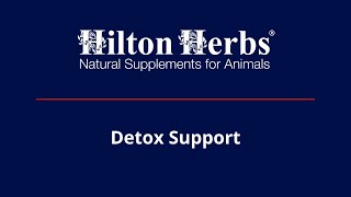 Hilton Herbs UK | Detox Support
