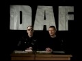 Daf - Live 1980-1981