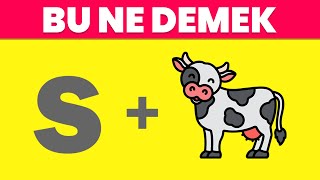 Emoji̇lerle Anlatılanı Tahmi̇n Et 40 Bulmaca Ve 5 Sani̇ye Resfebe Yarışması