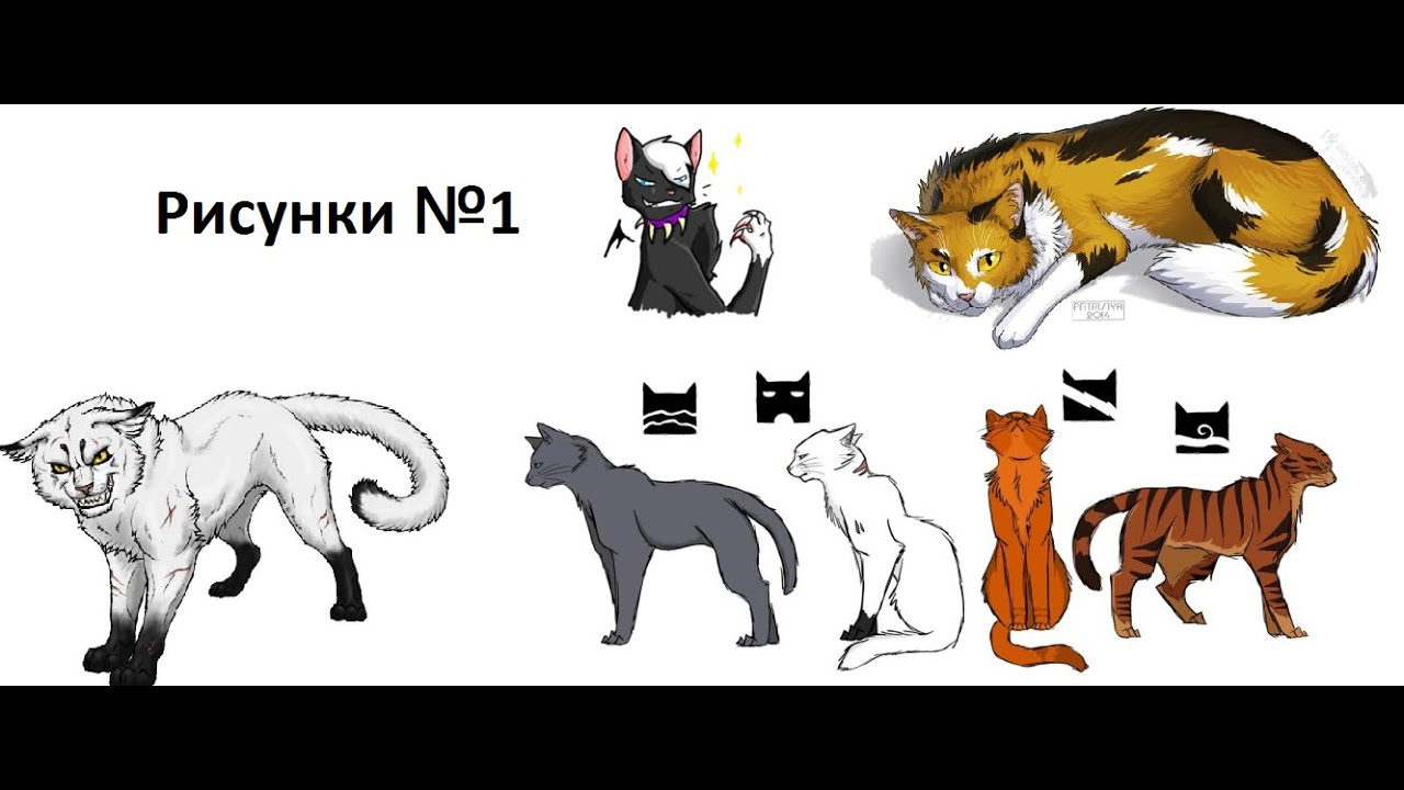 Видео рисуют котов воителей Видео рисуют котов воителей