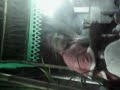 Hadroh Al Kahfi Feat Habib Aly Bin Umar Bin Hasyim images Hadroh Al Kahfi Feat Habib Aly Bin Umar Bin Hasyim